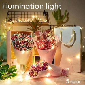  C~l[VCg NX}XCg d NX}X a dr 2[g Jt PF LED  O   킢