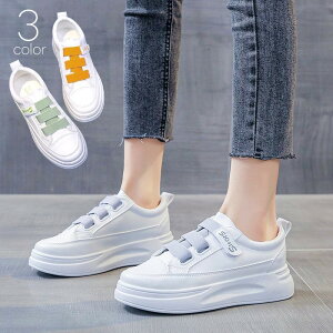  Xj[J[ fB[X p wlp C  V[Y  4cm }WbN e[v p S zCg  O[ O[ IW JWA 킢 