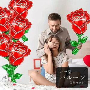  o[ A~D 5Zbg 5Zbg   Cxg KN o t[  bh O[ ؂₩ 킢 L[g |bv JWA a o^