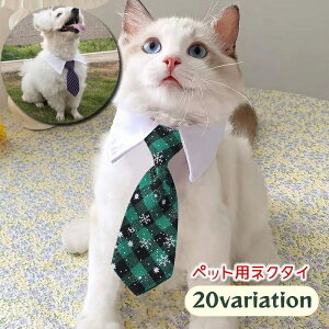  lN^C ybgp t ANZT[  `[J[ RXv  hbO L Lbg ybgObY   킢 XgCv  }WbN e[v ʃt@Xi[ 