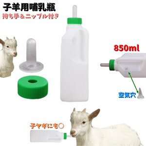  qrpMr M 850ml ~N{g {Ypi _ _Ɨp qr qM t t lWLbv a  ʋC ₷