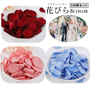  t[V[ Ԃт 100Zbg A[gt[ t[y^  fR[V   o Ԑ  EGfBO p[eB Cxg TvCY DIY J