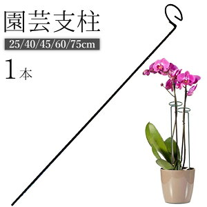 送料無料 園芸支柱 植木鉢 観葉植物 花 フラワー 誘引 サポート 支え 固定 転倒 予防 防止 簡単 設置 25cm 40cm 45cm 60cm 75cm 金属製 ガーデニング用品