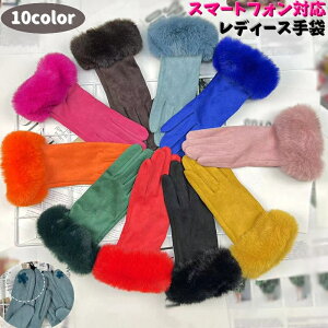  fB[X X}[gtHΉ 5{w N  PUU[ tFCNU[  h΍ O[u ĂԂ tFCNt@[  t[