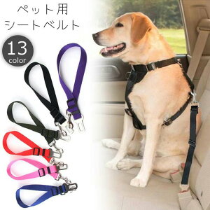  ybgpV[gxg p Lp ԗpxg ԗp[h яoh~ n PF Ck lR s o Oo hCupi ybgObY