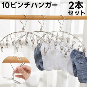 送料無料 ピンチハンガー 10ピンチ 2本セット ステンレス 洗濯ばさみ 物干し 部屋干し 室内干し バスタオル ベランダ 防風 省スペース 落下防止