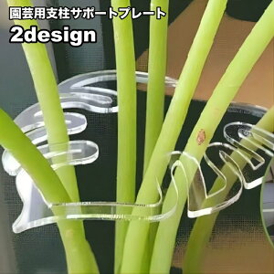  |pxT|[gv[g xz_[ xpi Ap xŒ tό^ [t^ ƒ؉ _ K[fjO   |pi