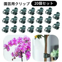 楽天市場】蘭 クリップの通販