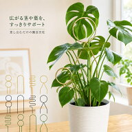 送料無料 園芸支柱 植物支柱 ガーデニング 園芸用品 家庭菜園 育苗資材 花支柱 アーチ支柱 フラワースタ…