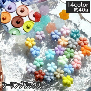  V[ObNX X 40g [ Ԍ^ t[   F u[ sN CG[ ubN u[ uE g AeB[N Jt C{[  L[