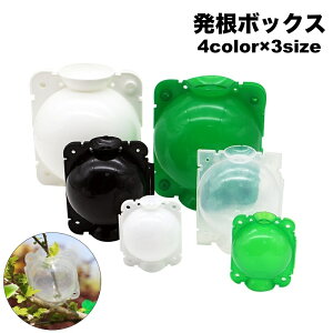  {bNX Pi ؃{[ A ɐB  u ȒPt K[fjO |pi  }