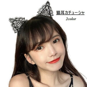  J`[V L  RXv nEB fB[X wAANZT[ wbhANZT[  킢 [X lR