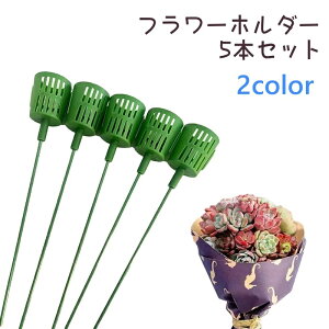  t[z_[ 5{Zbg A z_[ t[AWg ԑ u[P x A  K[fjO  fR[V