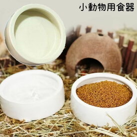 送料無料 ペット用食器 陶器 セラミック製 小動物用 ハムスター リス 鳥 フードボウル エサ入れ 餌入れ 餌皿 ウォーターボウル 水入れ