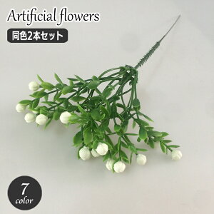   F2{Zbg tFCNt[  t[AWg A[eBtBVt[  킢 CeA j p[eB[  ؂₩