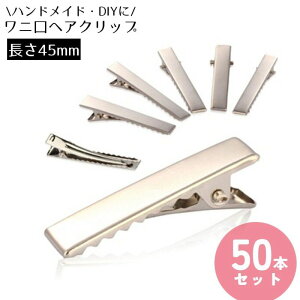  wANbv wAs Ntg 45mm 50{Zbg wAANZT[ nhCh Ƃs bgRs  TCY ~jTCY y  DIY Vo[J[ F 