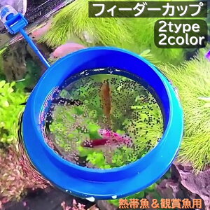  tB[_[Jbv a t[hg Mы Ϗ܋ ANAEpi GT a z Uh~ Eh XNGA ی^ ` U΂Ȃ