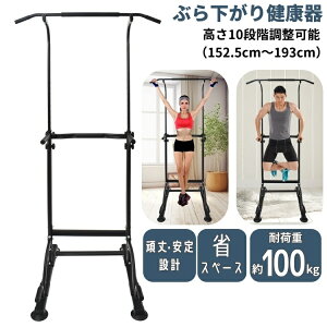  Ԃ牺茒N Ԃ牺  }V ω׏d100kg j  o[ g[jO `jOX^h fBbvXX^h _CGbg ؃g ؗ̓g[jO 
