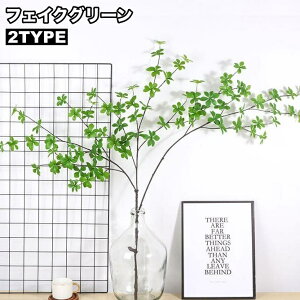  tFCNO[ lHϗtA ϗtA  CeA [t t   rO