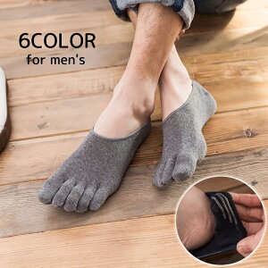  ܖ{w\bNX Pi Y am j C Jo[\bNX tbgJo[ [t@[C Ԃ x[V[g n PF Vv   5{w