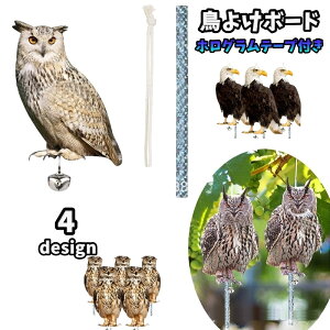  悯{[h 悯 h A tNE  ObY 悯 JX悯 Q΍ x_ ~~YN ݂艺 t 傫 傫 J[