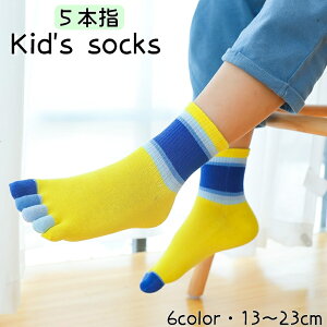  5{w\bNX qp C LbY WjA N[\bNX ܖ{wC Jt J[ubN ̎q j̎q ΍ }`{[_[  