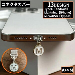  RlN^Jo[ iPhone AndroidX}z Micro-USB Type-C ho یLbv At@xbg p