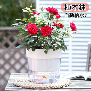 送料無料 植木鉢 自動給水 フラワーポット プランター 園芸 ガーデニング 観葉植物 多肉植物 植物 四角 スクエア シンプル