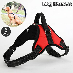  n[lX  Pi p ybgpi ^ ^ nh t obN n PF Vv U o   X^CbV  Ck hbO