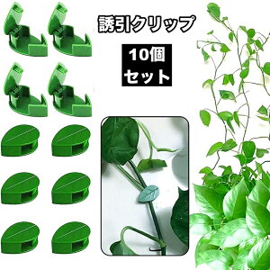  UNbv 10Zbg |Nbv ŒNbv Ǌ| ʃe[v [t^ _ | K[fjO ږ  oh Œ    ֗   CeA ϗt