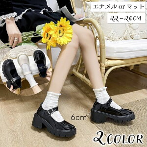  [t@[ fB[X  q[ C  pvX Xgbvt [^ PUU[  c }bg EhgD 킢  ubN x[W zCg JWA 