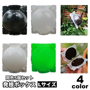  {bNX 5Zbg ؃{[ A ɐB  u ȒPt K[fjO |pi  }