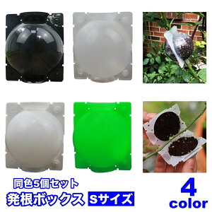  {bNX 5Zbg ؃{[ A ɐB  u ȒPt K[fjO |pi  }