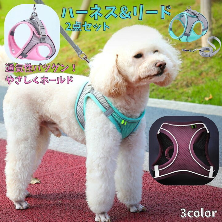 楽天市場】送料無料 ハーネス リード 2点セット ペット用品 犬用 猫用