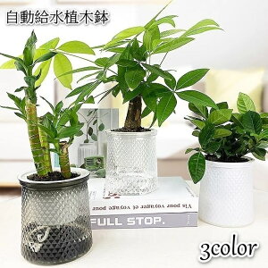 送料無料 植木鉢 自動給水 プランター 室内栽培 貯水槽付き フラワーポット 観葉植物 水やり おしゃれ シンプル 花 ハーブ 多肉植物 インテリア