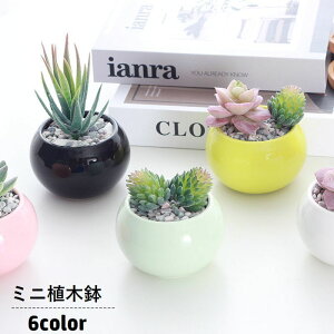  Aؔ t[|bg A  v^[ ~ ϗtA 񂹐A A ی^ ~j RpNg T{e |pi K[fjO   O 