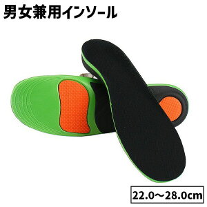  C\[ Cp~ jZbNX jp Y j fB[X  Ռz ʋC Xj[J[ ʋ ʊw ~NbV WMO jO X|[c TCY