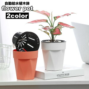 送料無料 植木鉢 フラワーポット 水耕栽培 自動給水 貯水槽付き 水やり簡単 観葉植物 多肉植物 園芸 ガーデニング 屋内 竹 節 かわいい おしゃれ シンプル