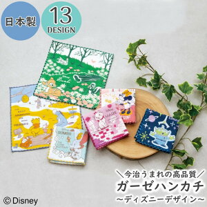  nJ` fBYj[ ܂̃nJ`  { 100% LN^[ 24cm ^InJ` K[[ 킢 ̎q j̎q LbY q  fB[X Mtg 蕨 v[