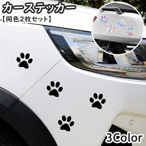  J[XebJ[ fJ[ ԗpXebJ[ F2Zbg V[ LYB wR~B ՃXebJ[ XebJ[  ʔ  Ck  lR L  ԑ   J[