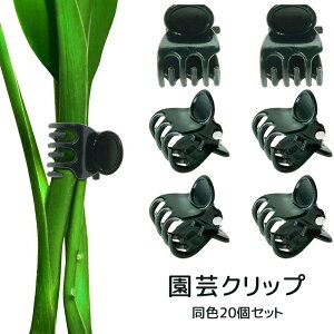  |Nbv 20Zbg |pi UNbv Nbv x vX`bN | K[fjO A   } T|[g Œ ƒ؉