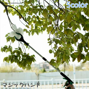  }WbNnh nh \Onh }WbN[`[ S~EgO ݖ_ }Olbg  ܂肽 83cm ⏕   Dw