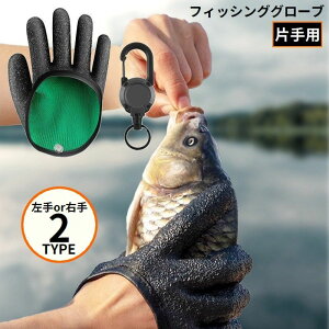  ނ ϐؑn tBbVOO[u ͂  Ўp LkL[[ h~ ~ h hn ؂Ȃ