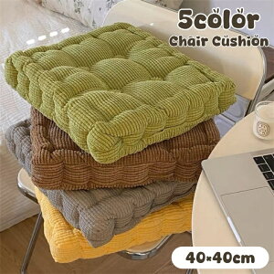  `FANbV zc NbV 10cm 40×40cm R[fC  ӂӂ  `FA ֎q Vv n 킢  XNGA lp NbV L[g `
