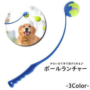  {[`[ Pi 1 ybgObY pi  ybgp ^ ^ ^ {[ ybgp{[ O V ߋ  ^s 킢 ֗