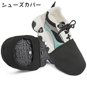  V[YJo[ 1yA TCNV[YJo[ CJo[ ܐ jp n[t ho h ۉ h~ TCNO ] }EeoCN AEghA n