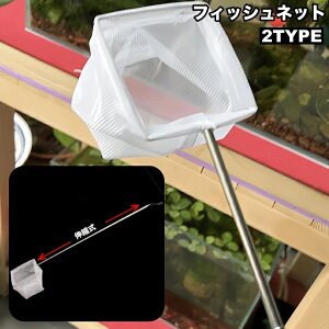  tBbVlbg Lk ӏ܋p  Mы   lp^ ی^ | ւ S~ ړ  ANAEpi