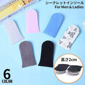  V[NbgC\[ 2cmgAbv fB[X Y VR Cq[  Ɨpn[t^ Ռz NbV