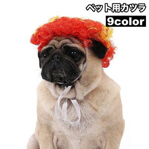  ybgpJc EBbO   L RXv RX`[ At p[} ϑ ObY  ʔ p[eB Cxg nEB t@bV