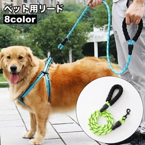  [h UR R Pi  hbO ^ ^  Vv iXJ ˍ [V hbO[h ybgpi   150cm o Ck 񂿂